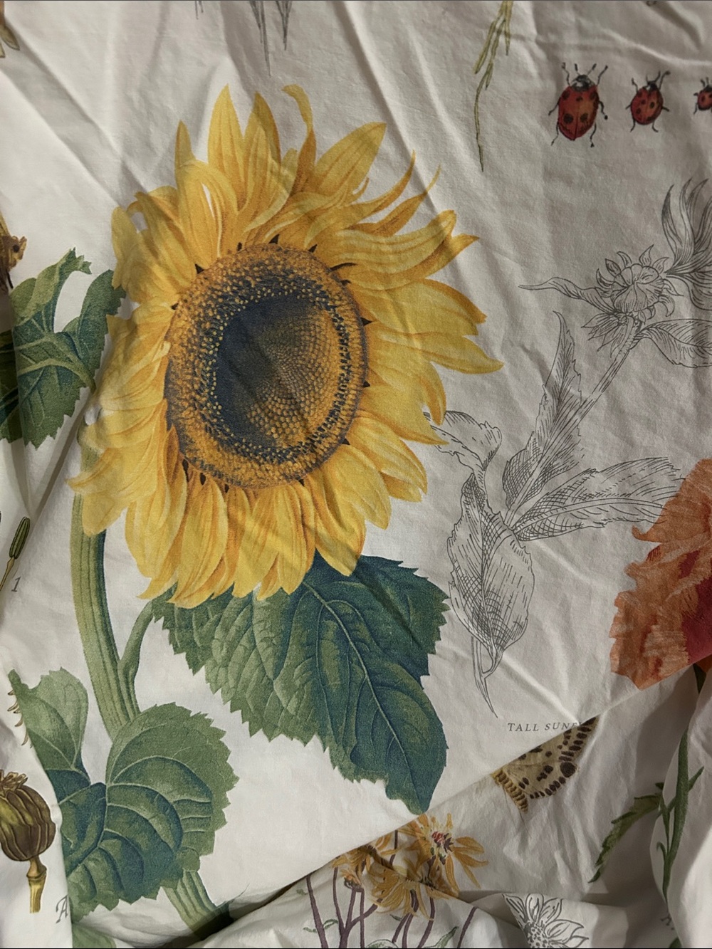Pottery Barn Cream Sunflower & Wildflower Duvet Cover - Picture 3 of 7